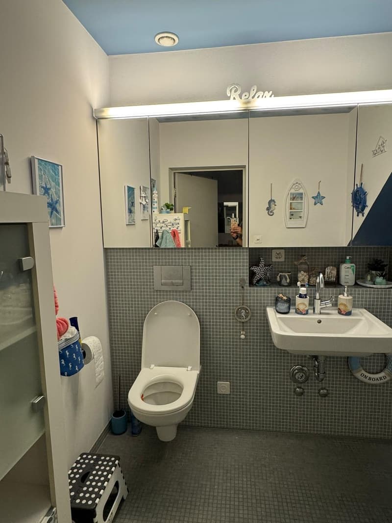 2,5-ZIMMER-DUPLEX ZU VERMIETEN IN DIESSENHOFEN (12)