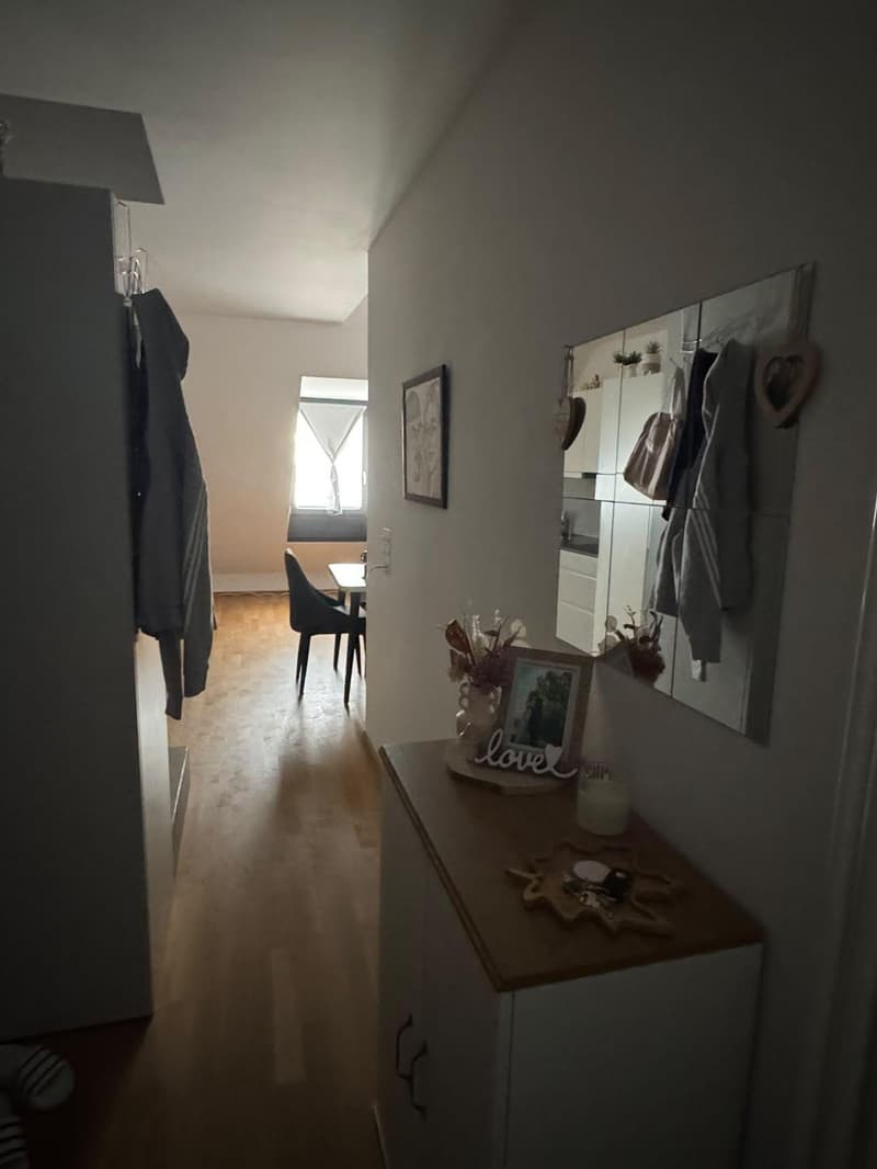 2,5-ZIMMER-DUPLEX ZU VERMIETEN IN DIESSENHOFEN (5)