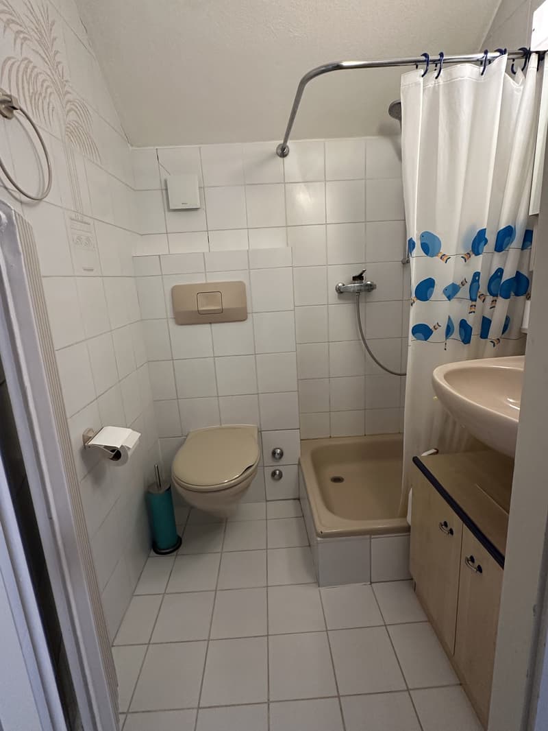 Cozy studio proche de la gare (5)