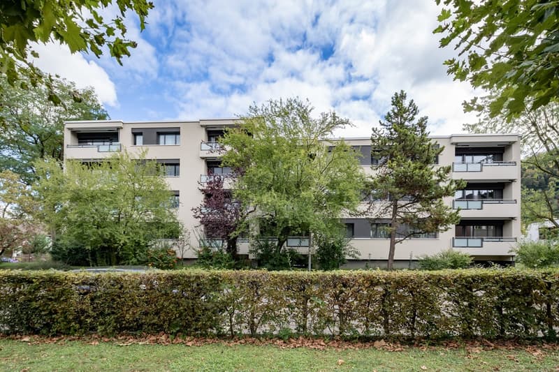 3 Zimmer-Wohnung, 4132 Muttenz (2)