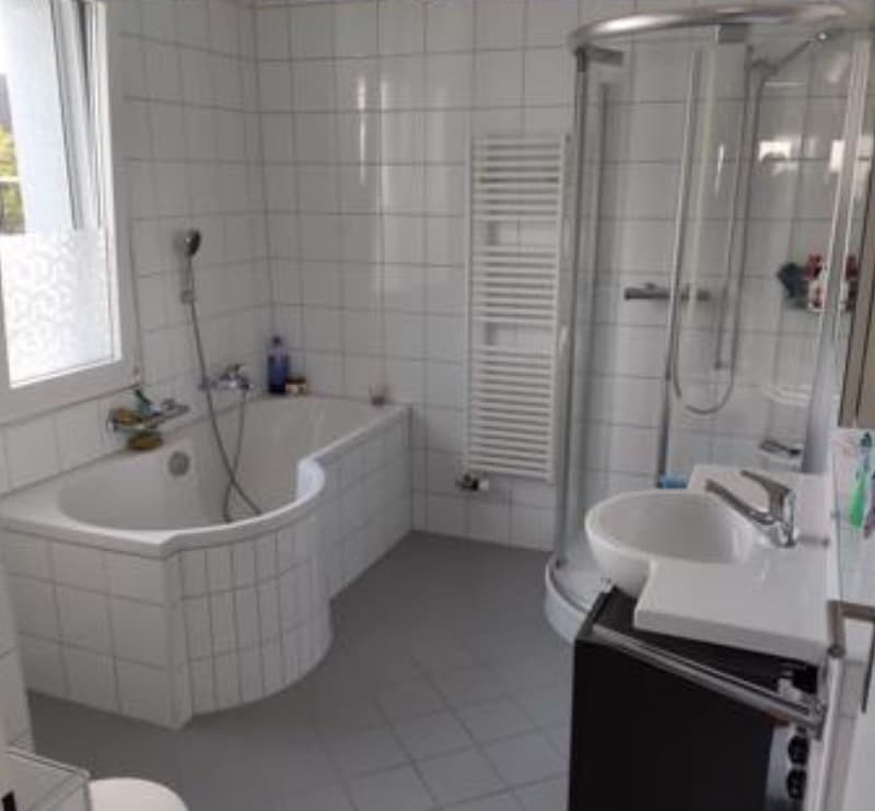 Befristetes möbliertes WG-Zimmer in Luzern verfügbar ab 15. März oder nach Vereinbarung (5)