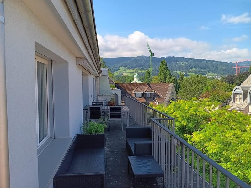 Befristetes möbliertes WG-Zimmer in Luzern verfügbar ab 15. März oder nach Vereinbarung (6)