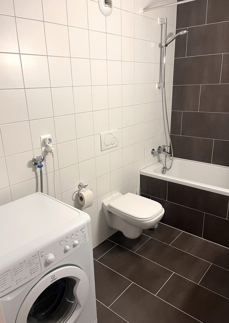 Lumineux appartement meublé de 3,5 pièces avec balcon et vue sur les montagnes à Martigny (6)
