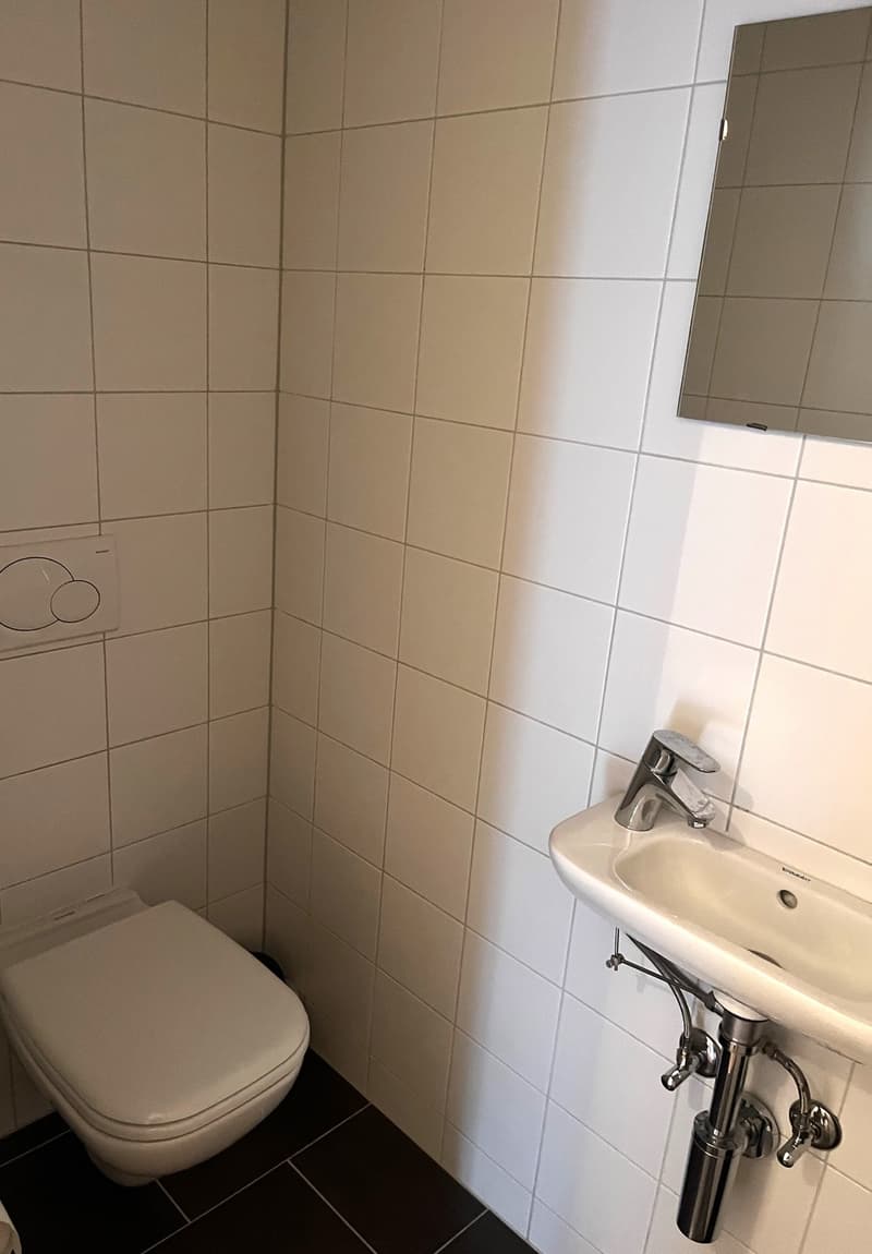 Lumineux appartement meublé de 3,5 pièces avec balcon et vue sur les montagnes à Martigny (8)