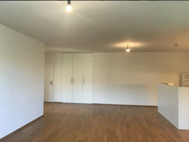 Wunderschöne 3.5-Zimmer-Wohnung mit grossem Sitzplatz (1)