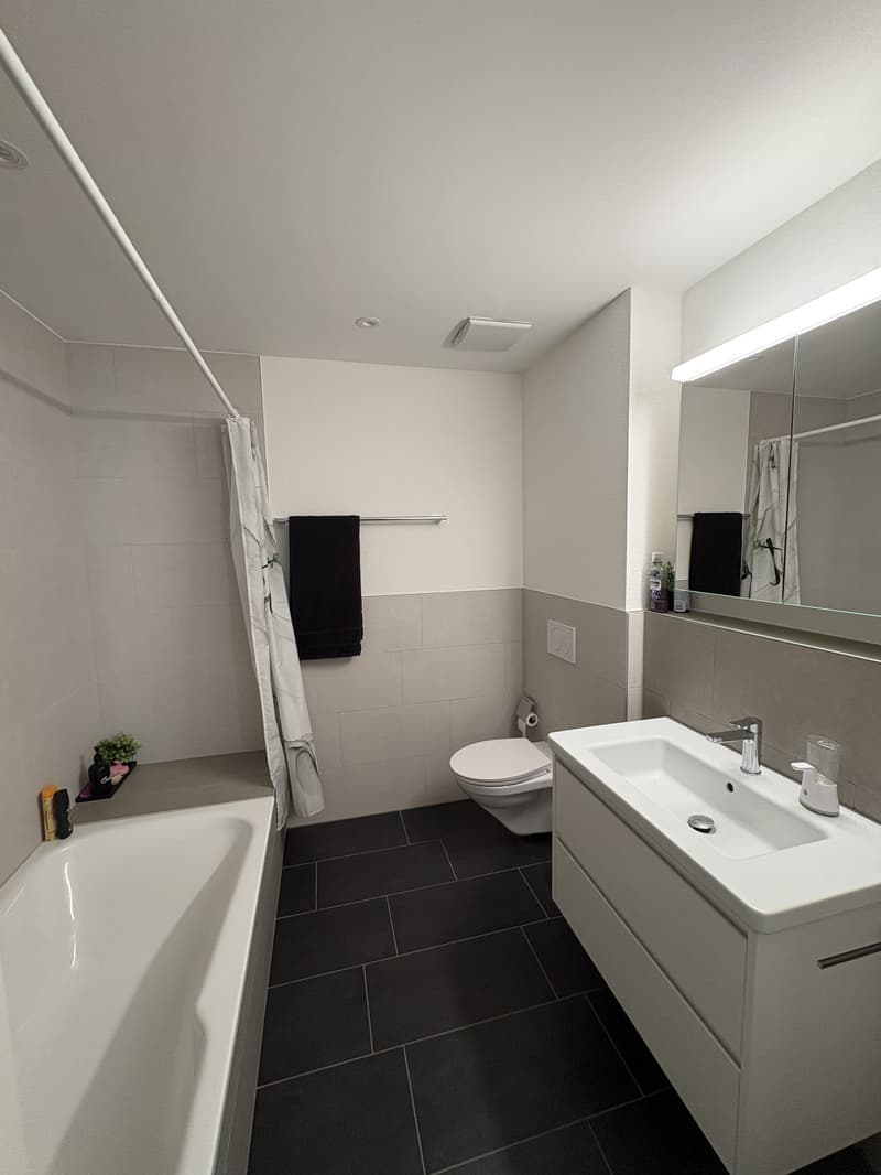 2 ½ Zimmer-Wohnung, 4466 Ormalingen (6)