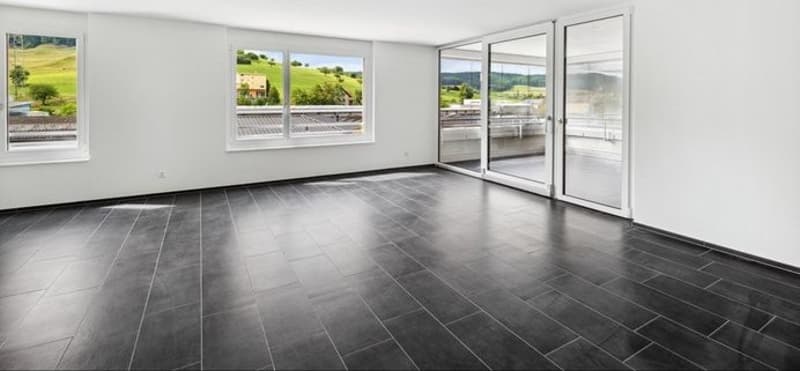 2 ½ Zimmer-Wohnung, 4466 Ormalingen (1)