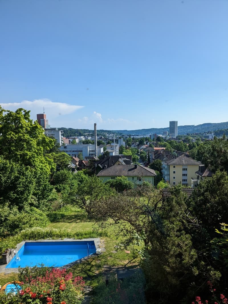 Ausblick