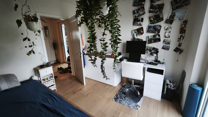 Zimmer 1300.-