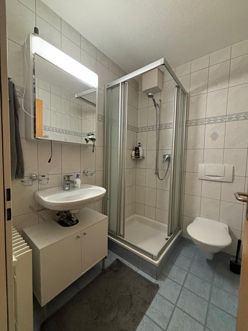 Grosses WG-Zimmer (7)