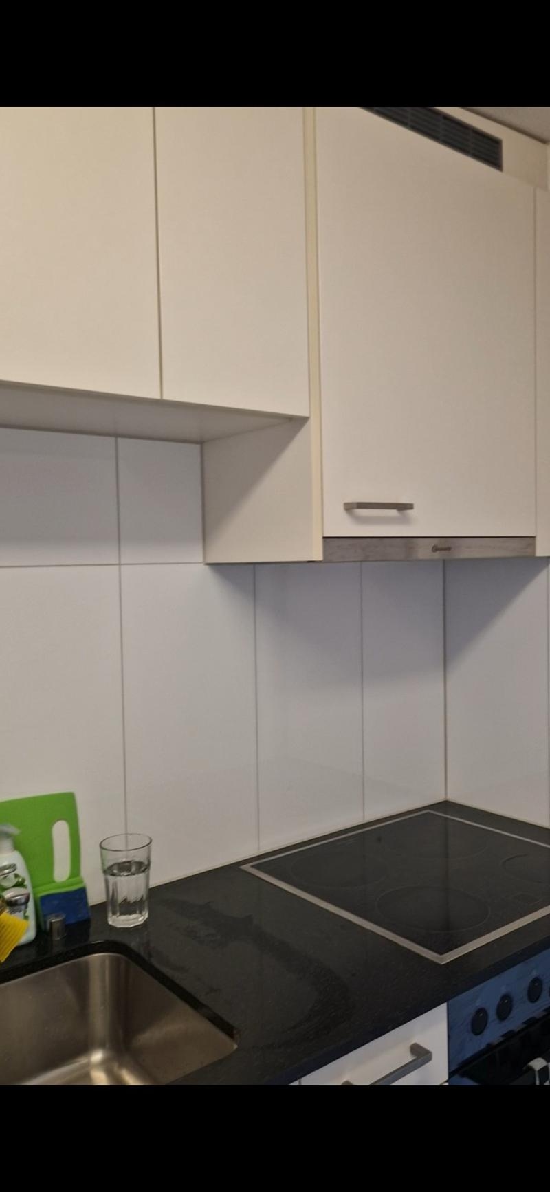 2-Zi Whg mit Panoramablick, möbliert, befristet (4)