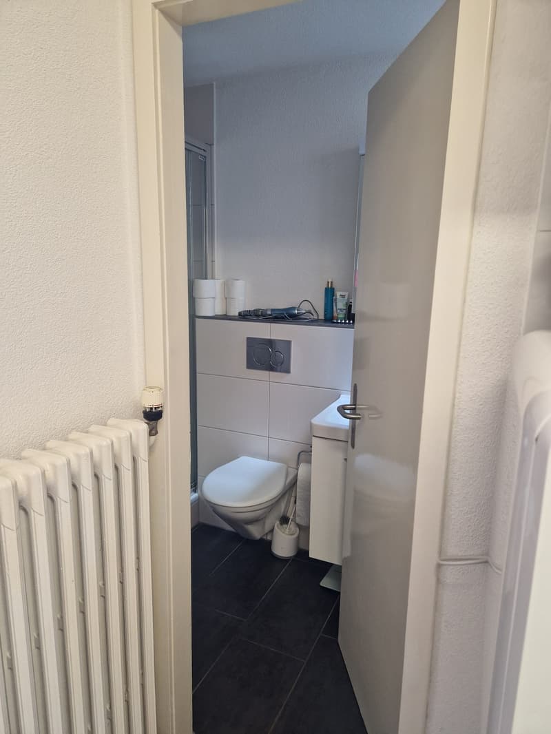 2-Zi Whg mit Panoramablick, möbliert, befristet (7)