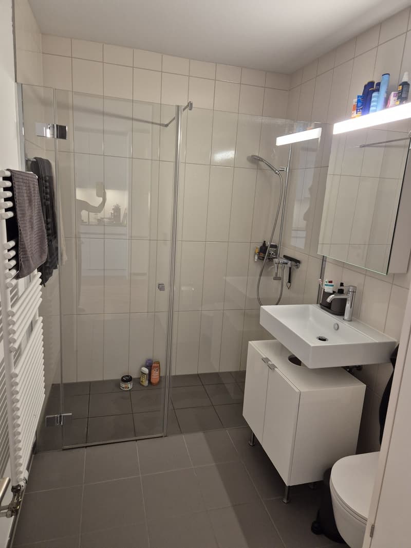 Moderne 1.5-Zimmer-Neubauwohnung mit Balkon in Zürich-Wiedikon (4)