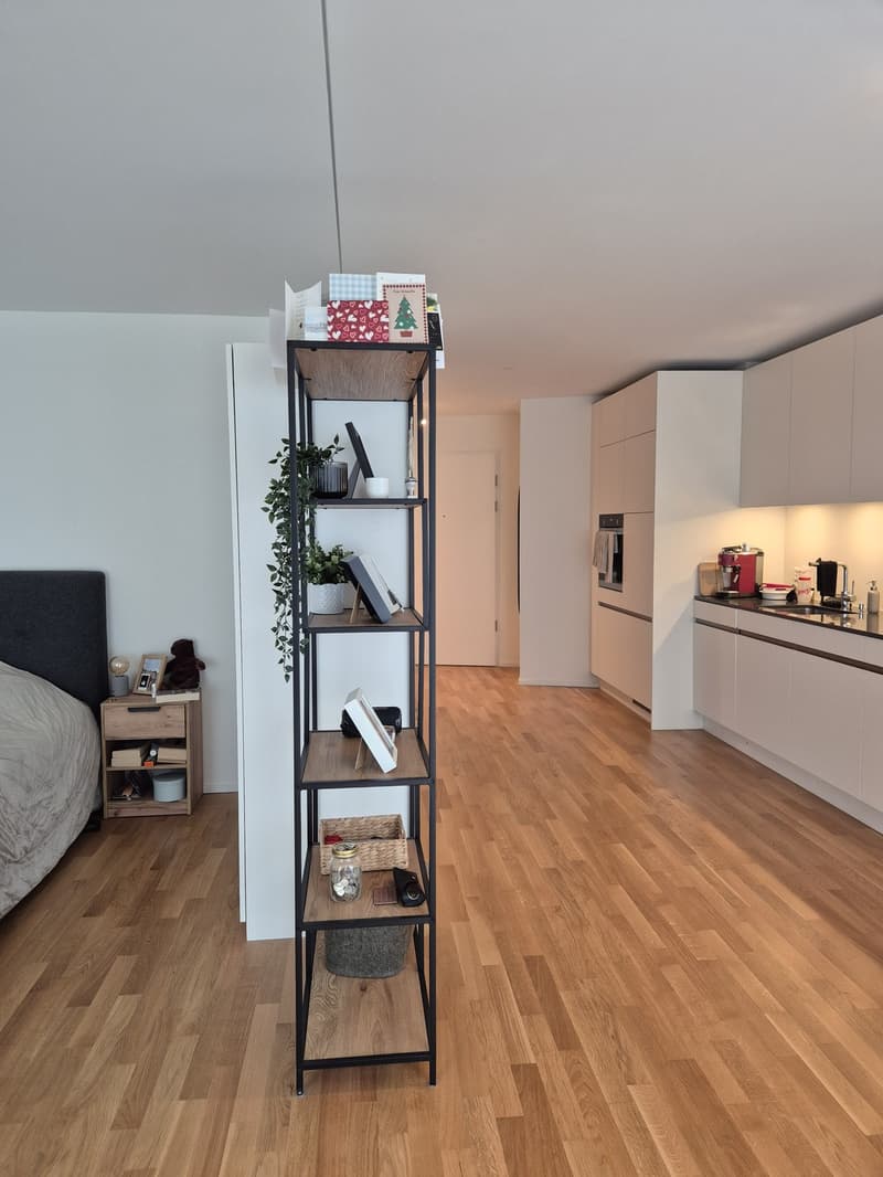 Moderne 1.5-Zimmer-Neubauwohnung mit Balkon in Zürich-Wiedikon (8)