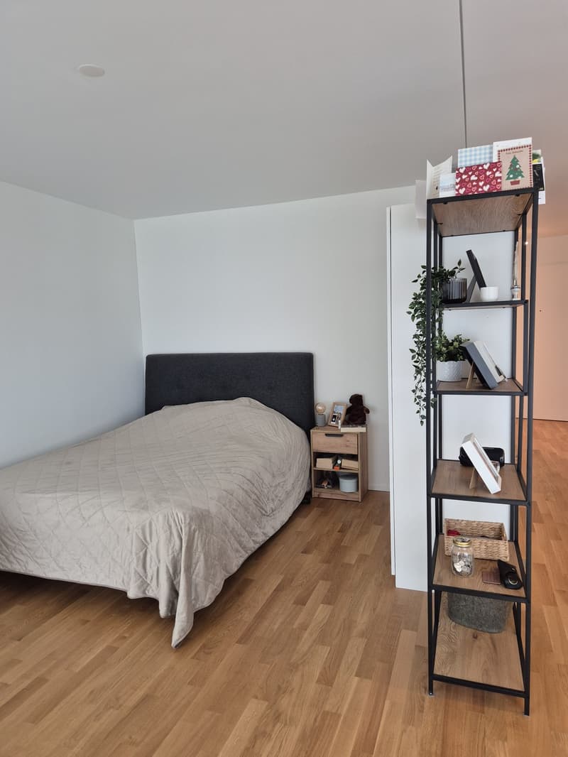 Moderne 1.5-Zimmer-Neubauwohnung mit Balkon in Zürich-Wiedikon (7)