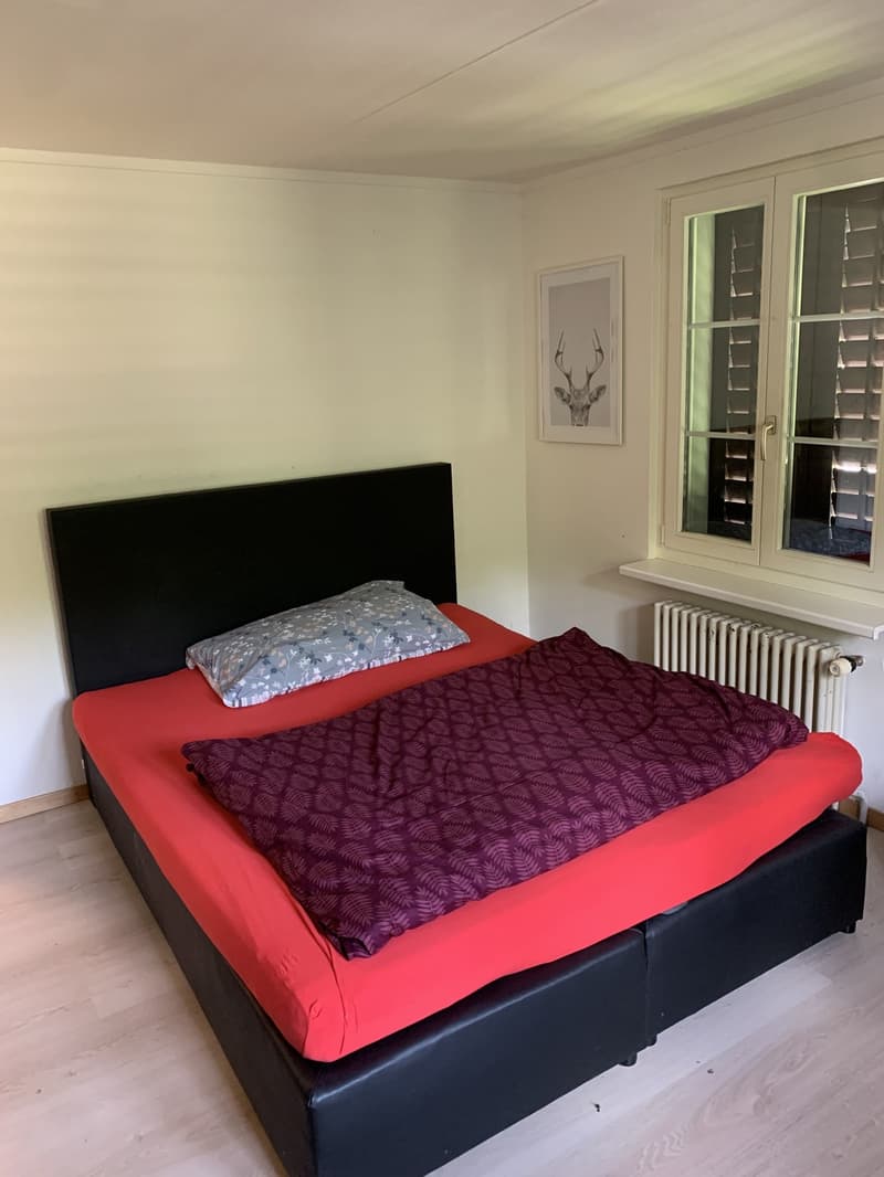 Mieter/in für Zimmer gesucht (1)