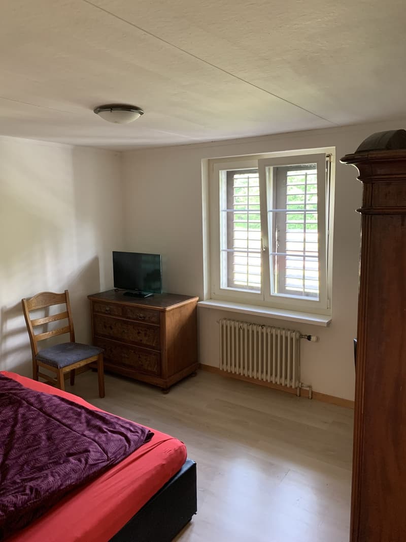Mieter/in für Zimmer gesucht (3)