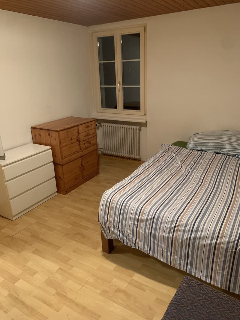 Mieter/in für Zimmer gesucht (6)