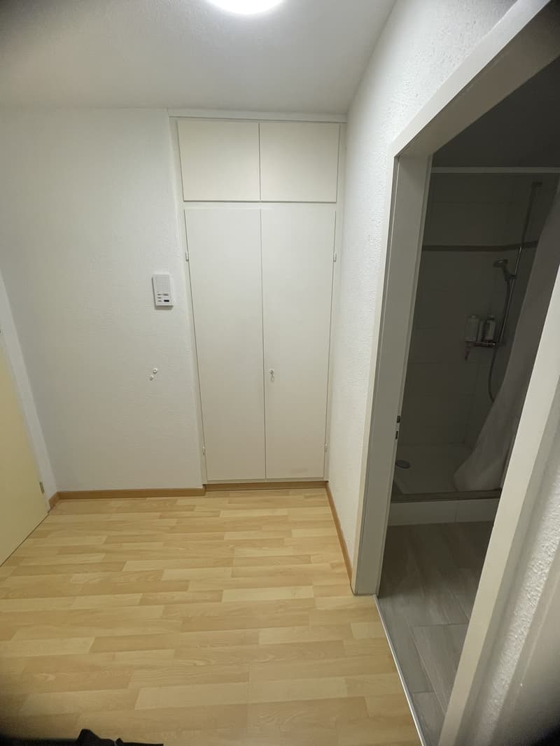1 Zimmerwohnung zur Untermiete (4)