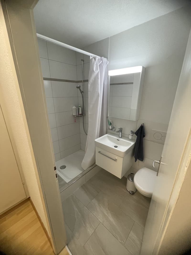1 Zimmerwohnung zur Untermiete (5)