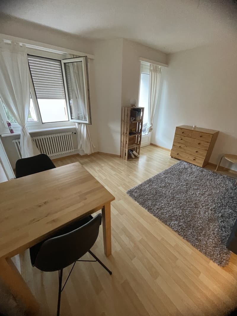 1 Zimmerwohnung zur Untermiete (2)