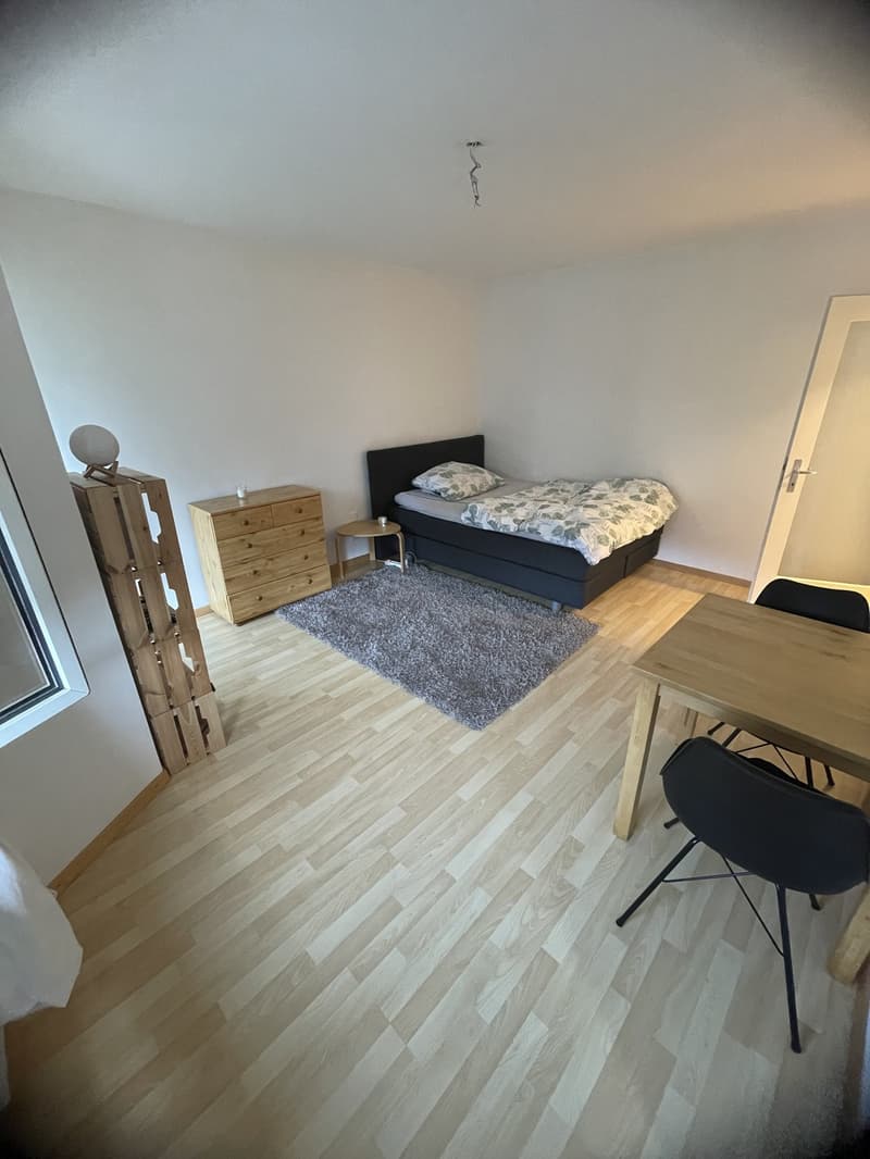 1 Zimmerwohnung zur Untermiete (3)