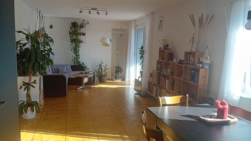 2 er WG in Winterthur 8400 (7)