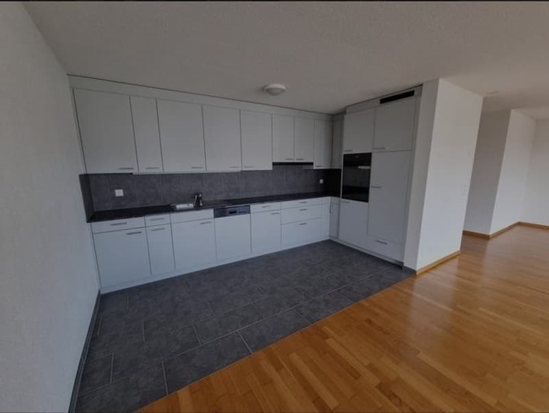 helle 3.5-Zimmer-Wohnung (4)