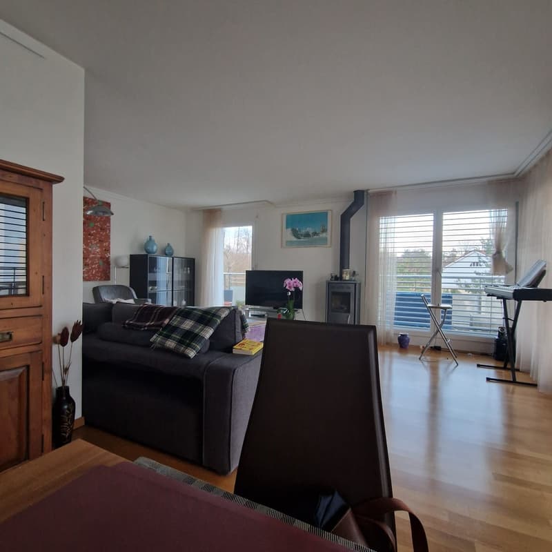 Terrace apartment near Forrest in regensdorft (2)