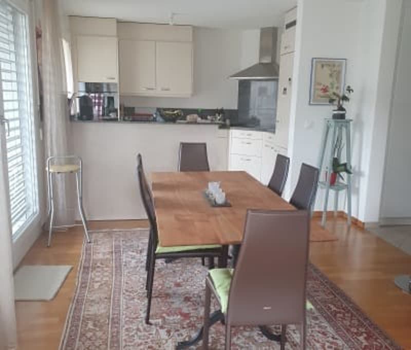 Terrace apartment near Forrest in regensdorft (6)