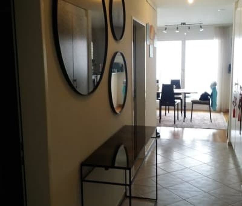 Terrace apartment near Forrest in regensdorft (5)