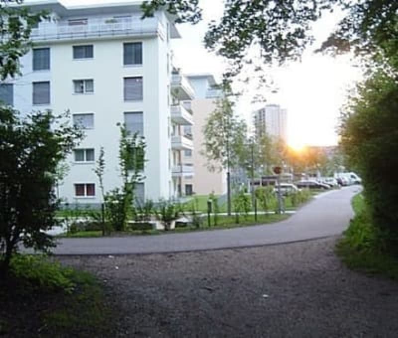 Terrace apartment near Forrest in regensdorft (8)