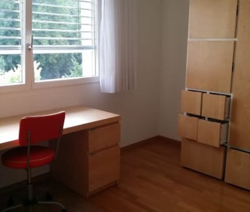 Terrace apartment near Forrest in regensdorft (4)