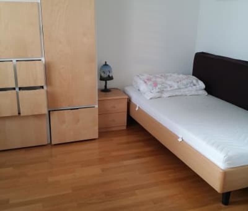 Terrace apartment near Forrest in regensdorft (3)