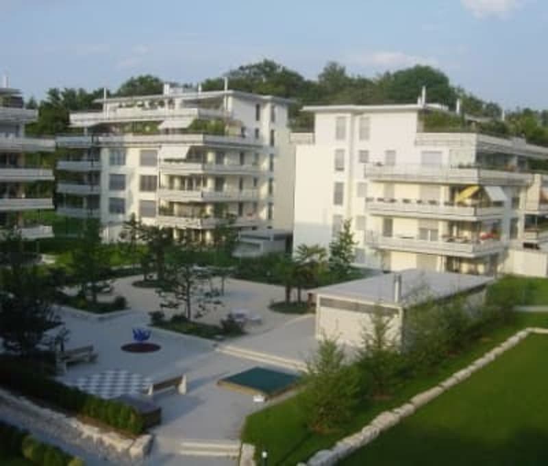 Terrace apartment near Forrest in regensdorft (7)