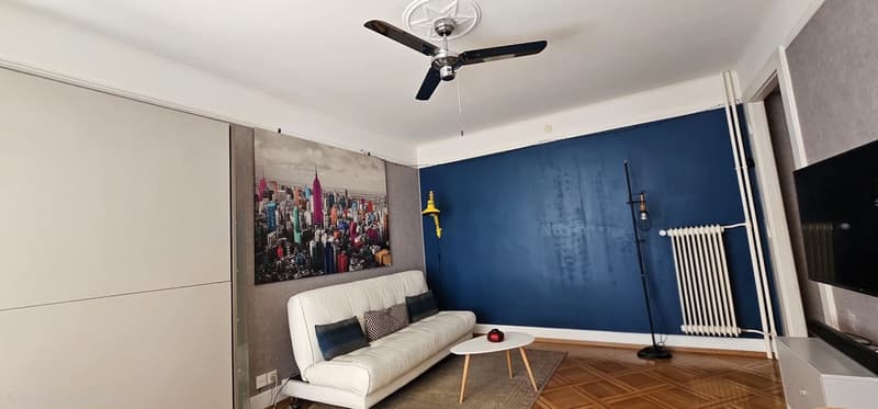 1,5 pièce meublé 45 m² Montchoisi Balcon Prêt à poser ses valises (1)