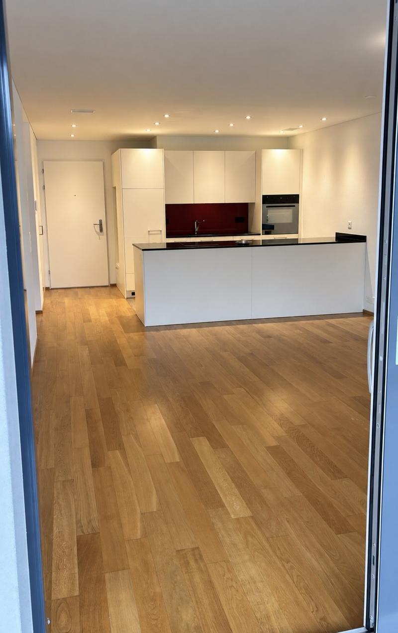 Schöne 2.5 Zimmer Wohnung mit grossem Balkon (3)