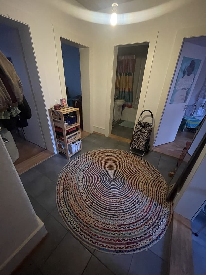 Herzige 3-Zimmer-Wohnung in der Länggasse (4)