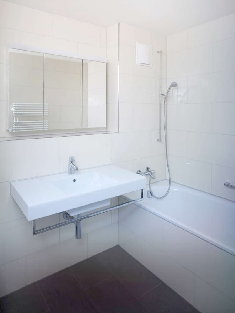Helle 4.5-Zimmer-Wohnung in Zollikerberg (4)