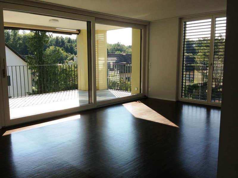 Helle 4.5-Zimmer-Wohnung in Zollikerberg (1)
