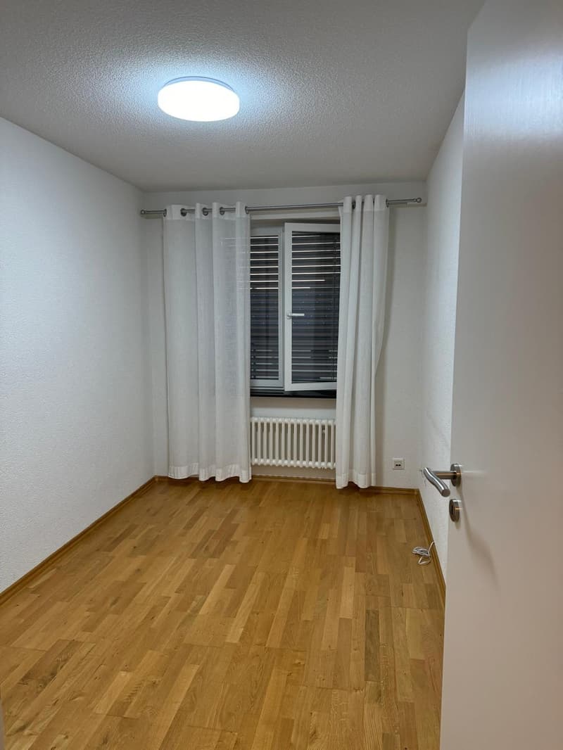 Helle 4.5-Zimmer-Wohnung mit Balkon und Parkbox in Stein AG (9)