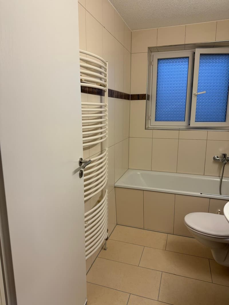 Helle 4.5-Zimmer-Wohnung mit Balkon und Parkbox in Stein AG (7)