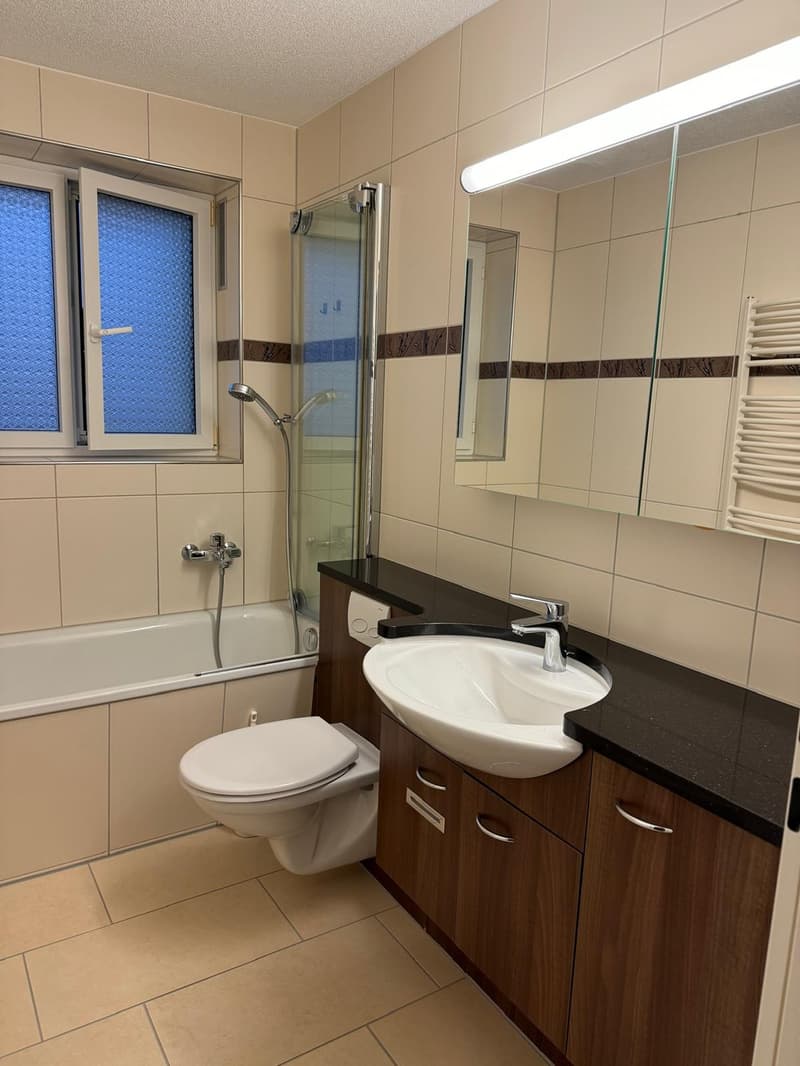 Helle 4.5-Zimmer-Wohnung mit Balkon und Parkbox in Stein AG (6)