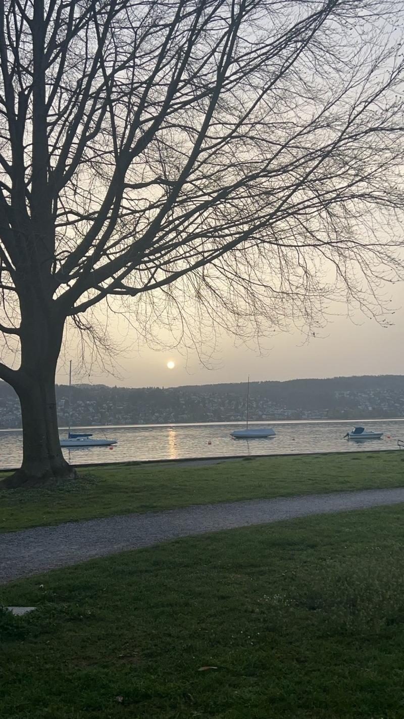 WG-Zimmer am Zürichsee (7)