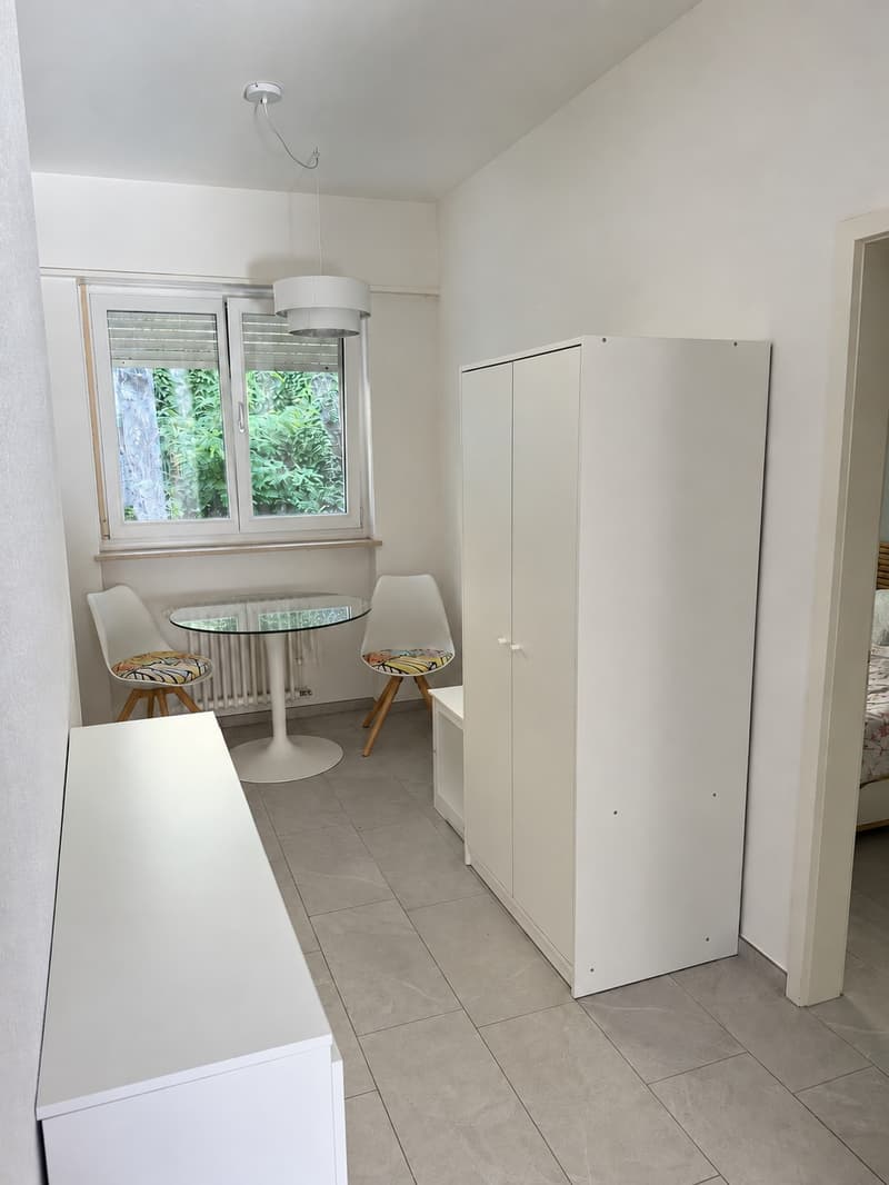 Bright, Renovated 3.5-Room Apartment in Lugano (4)