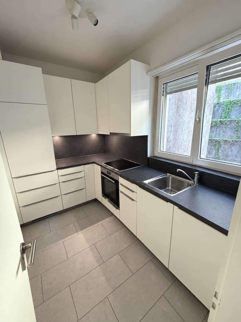 Bright, Renovated 3.5-Room Apartment in Lugano (8)