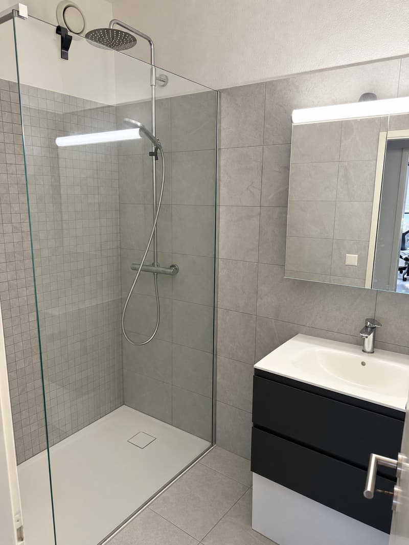 Bright, Renovated 3.5-Room Apartment in Lugano (9)