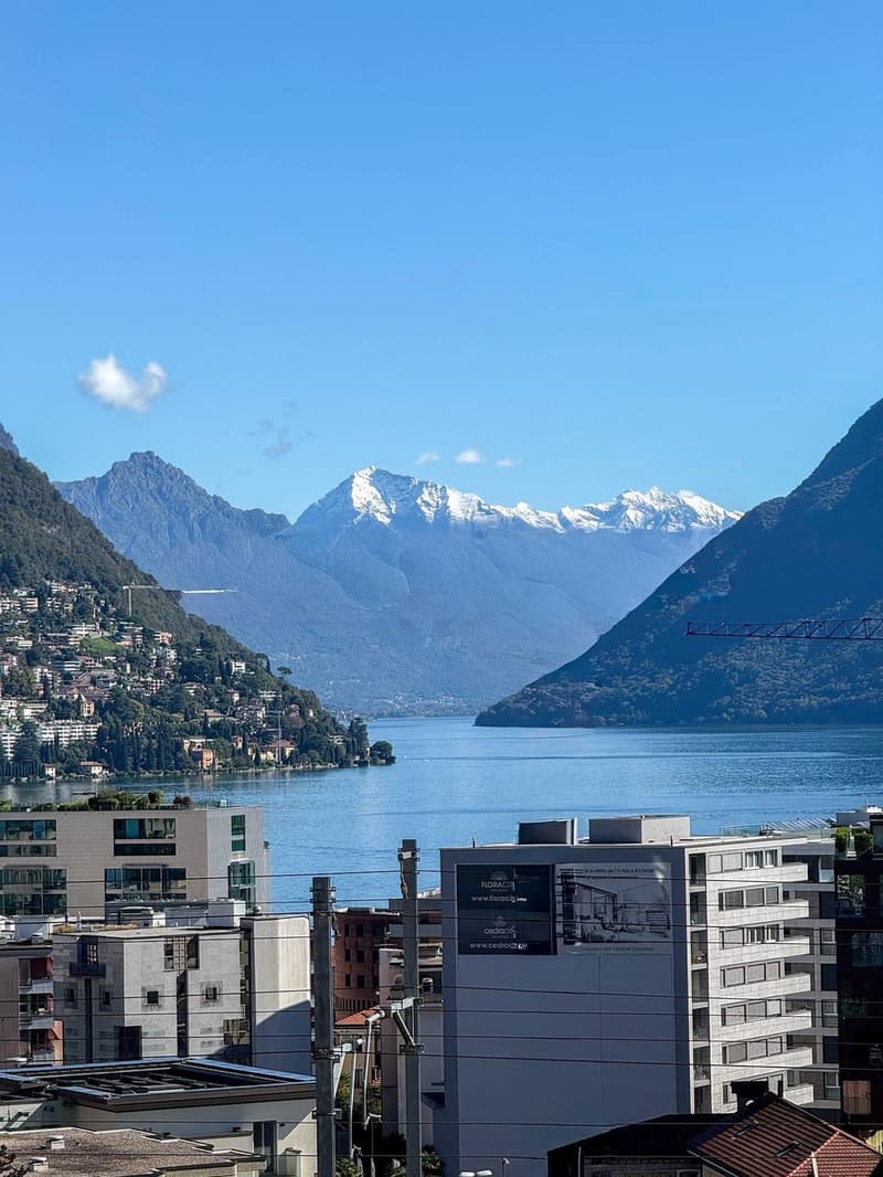 Bright, Renovated 3.5-Room Apartment in Lugano (2)