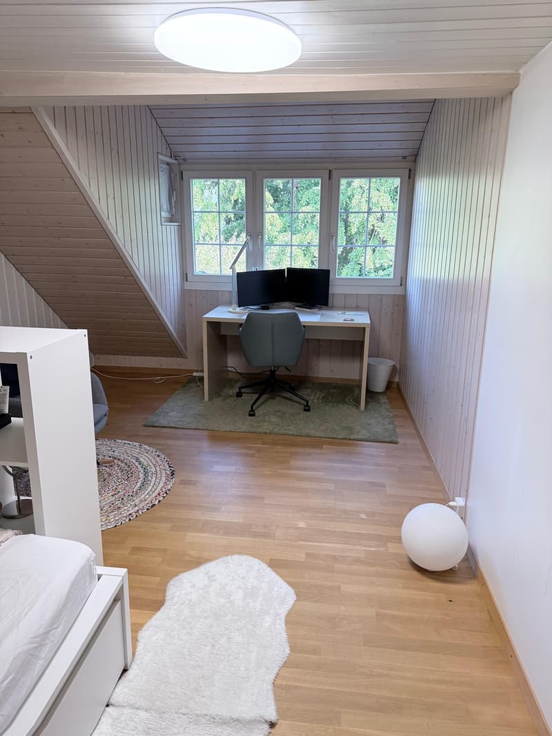 Zentrales WG-Zimmer ab Oktober verfügbar (2)