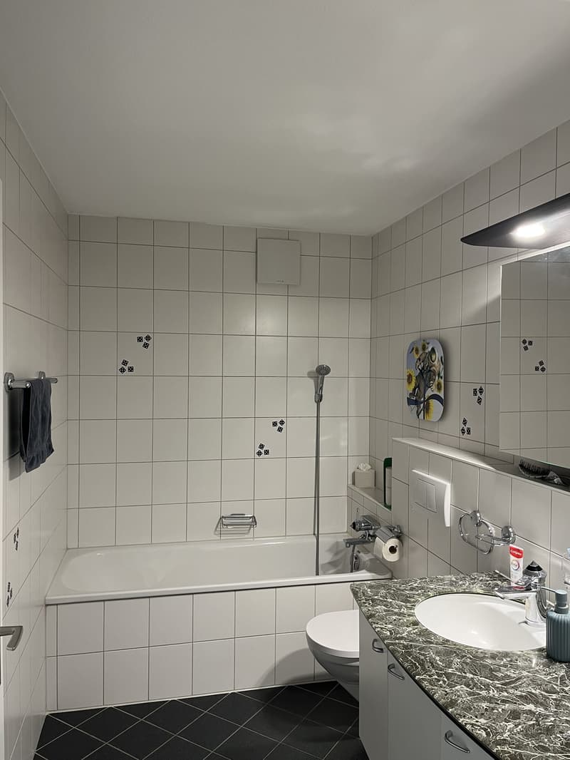 Grosse 3.5 Zimmer-Wohnung mit 2 Balkonen (9)
